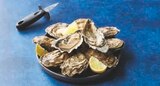 Huitres Fines de Bretagne - U en promo chez Super U Yerres à 8,91 €