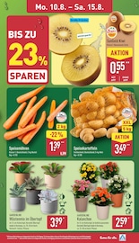 Pflanzen im ALDI Nord Prospekt in Delmenhorst Aktueller ALDI Nord Prospekt mit Pflanzen, "Aktuelle Angebote", Seite 3