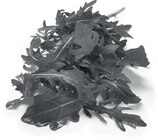 Aktuelle Salat Angebote bei Netto Marken-Discount in Bielefeld Aktuelles Rucola Angebot bei Netto Marken-Discount in Bielefeld ab 0,88 €