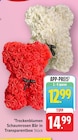 Trockenblumen Schaumrosen Bär in Transparentbox bei EDEKA im Walldorf Prospekt für 12,99 €