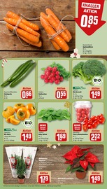 Ähnliche Angebote wie Glanzmispel im Prospekt "Dein Markt" auf Seite 9 von REWE in Mannheim