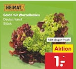 Salat mit Wurzelballen im Angebot bei Netto Marken-Discount in Salzgitter Salat mit Wurzelballen Angebote von Heimat bei Netto Marken-Discount Salzgitter für 1,00 €