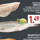 Aktuelle Forelle Angebote bei Marktkauf in Bielefeld Aktuelles Forelle Angebot bei Marktkauf in Bielefeld ab 1,49 €