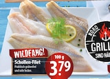 famila Nordost Reinbek - Schollen-Filet Angebot im Prospekt Schollen-Filet bei famila Nordost im Reinbek Prospekt für 3,79 €