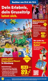 LEGO im Lidl Prospekt in Beckum Aktueller Lidl Prospekt mit LEGO, "LIDL LOHNT SICH", Seite 66