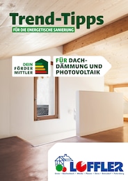 Bauzentrum Löffler Prospekt für Vogtländisches Oberland: "Trend-Tipps FÜR DIE ENERGETISCHE SANIERUNG", 9 Seiten, 24.05.2024 - 02.06.2024