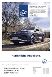 Aktueller Volkswagen Prospekt für Paderborn mit  Seite