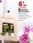 Coffret duo plantes - Super U à Toulon Coffret duo plantes en promo chez Super U Toulon à 6,99 €