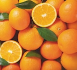 Supeco Loison-sous-Lens - Promo Orange feuilles Promo Orange feuilles à 1,99 € dans le catalogue Supeco à Loison-sous-Lens