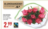 Marktkauf Horn-Bad Meinberg - Edelrosen Angebot im Prospekt Edelrosen bei Marktkauf im Horn-Bad Meinberg Prospekt für 2,99 €