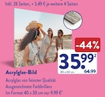 Acrylglas-Bild Angebote bei ALDI SÜD Erlangen für 9,99 €