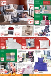 Sitzkissen im GLOBUS Prospekt in Salzgitter Aktueller GLOBUS Prospekt mit Sitzkissen, "Aktuelle Angebote", Seite 31