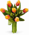 Aktuelle Tulpen Angebote bei Netto Marken-Discount in Duisburg Aktuelles Herbsttulpen Angebot bei Netto Marken-Discount in Duisburg ab 2,99 €