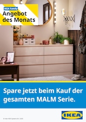 Aktueller IKEA Prospekt mit Kleiderschrank, "Angebot des Monats", Seite 1