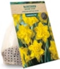Herbstblumenzwiebel-Spezialität von Gardenline für 1,99 € bei ALDI Nord im Angebot Herbstblumenzwiebel-Spezialität von Gardenline im aktuellen ALDI Nord Prospekt