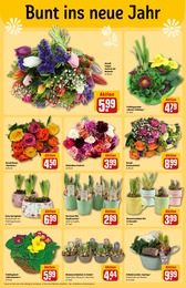 Gartenmöbel Angebot im aktuellen REWE Prospekt auf Seite 28