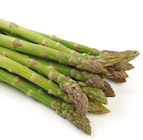 Spargel grün Angebote bei Netto mit dem Scottie Lutherstadt Wittenberg für 3,99 €