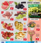 Aktueller Marktkauf Prospekt mit Blumen, "Aktuelle Angebote", Seite 7