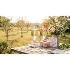Prosecco D.O.C. Treviso - LA GIOIOSA en promo chez Carrefour Garges-lès-Gonesse à 6,37 €