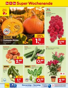 Pflanzen im aktuellen Netto Marken-Discount Prospekt (Regensburg) Pflanzen im Netto Marken-Discount Prospekt "Aktuelle Angebote" mit 72 Seiten (Regensburg)