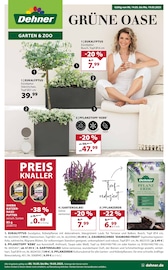 Aktueller Dehner Garten-Center Baumarkt Prospekt in Kreischa und Umgebung, "GRÜNE OASE" mit 16 Seiten, 14.05.2025 - 19.05.2025