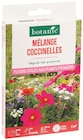 Mélange fleuri pour coccinelles à Botanic dans Lonny Mélange fleuri pour coccinelles à Botanic dans Lonny