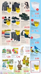 Jawoll Strümpfe im Prospekt Jawoll Strümpfe im Prospekt