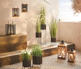 Laterne im Angebot bei Möbelzentrum Pforzheim in Karlsruhe Laterne Angebote von Ambia Home bei Möbelzentrum Pforzheim Karlsruhe für 9,99 €