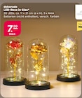 dekorado LED-Rose in Glas für 7,99 € bei Netto mit dem Scottie im Angebot dekorado LED-Rose in Glas im aktuellen Netto mit dem Scottie Prospekt