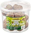 Hagebaumarkt Bondorf - Meisenknödel mit Beeren Angebot im Prospekt Meisenknödel mit Beeren bei Hagebaumarkt im Bondorf Prospekt für 8,99 €