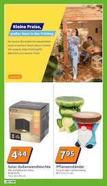 Gartendeko im Action Prospekt in Halberstadt Aktueller Action Prospekt mit Gartendeko, "Wochenangebote", Seite 16