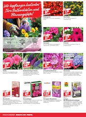 Aktueller bauSpezi Prospekt mit Gartenerde, "Bei uns finden Sie das passende Geschenk zum Muttertag!", Seite 2