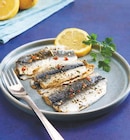 Filet de sardines citron/herbes de Provence - Delpierre en promo chez U Express Filet de sardines citron/herbes de Provence - Delpierre dans le catalogue U Express