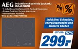 Induktionskochfeld (autark) bei expert im Langenhagen Prospekt für 299,00 €