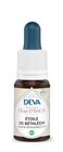 DEVA-Complément alimentaire fleur de Bach étoile de Bethléem bio Deva - 15 ml - Botanic DEVA-Complément alimentaire fleur de Bach étoile de Bethléem bio Deva - 15 ml à 7,12 € dans le catalogue Botanic