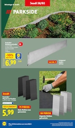 Offre Plantes dans le catalogue Lidl du moment à la page 10