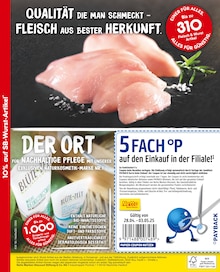 Netto Marken-Discount Prospekt Nortorf "10% auf SB-Wurst-Artikel" mit 2 Seiten