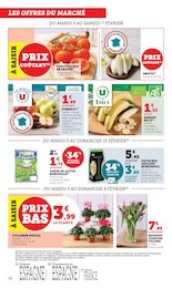Offre Plante Verte dans le catalogue U Express du moment à la page 18