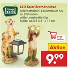 LED Solar Erdmännchen im Angebot bei Netto Marken-Discount in Andernach LED Solar Erdmännchen Angebote bei Netto Marken-Discount Andernach für 9,99 €