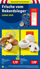 Champignons im Lidl Prospekt in Mainz Aktueller Lidl Prospekt mit Champignons, "LIDL LOHNT SICH", Seite 2
