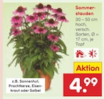 Sommerstauden Angebote bei Netto Marken-Discount Suhl für 4,99 €