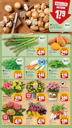 Schnittblumen im REWE Prospekt Schnittblumen im REWE Prospekt "Dein Markt" auf Seite 7