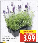 Lavendel für 3,99 € bei E center im Angebot Lavendel im aktuellen E center Prospekt