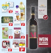 Ähnliche Angebote wie Aquarium im Prospekt "Aktuelle Angebote" auf Seite 19 von Marktkauf in Schorndorf