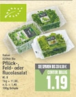 Pflück-, Feld- oder Rucolasalat von EDEKA Bio im aktuellen E center Prospekt