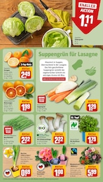 Garten Angebot & Preis im aktuellen REWE Prospekt Garten Angebot im aktuellen REWE Prospekt auf Seite 11