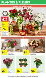 Chrysanthèmes en promo dans le catalogue Carrefour à la page 62