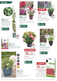 Offre Plante Aromatique dans le catalogue Botanic du moment à la page 8