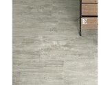 Promo Carrelage de sol intérieur "Tiago" gris - l. 31 x L. 62 cm à 21,48 € dans le catalogue Brico Dépôt à Le Pontet