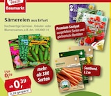 Sämereien Angebote bei Sonderpreis Baumarkt Göttingen für 0,39 €